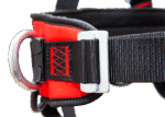 დაცვის ქამარი ზომა Harness PROFI EVO C with buckles - Image 3