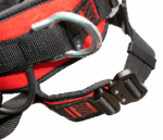 დაცვის ქამარი Harness PROFI EVO C  size XXL XPSHPROFIEVOCXXL - Image 4